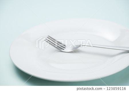 簡單的白盤子和叉子 簡單的白盤子和叉子 123859116