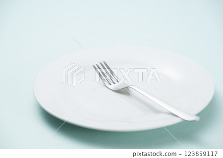 簡單的白盤子和叉子 123859117