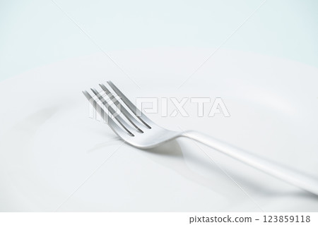 簡單的白盤子和叉子 簡單的白盤子和叉子 123859118