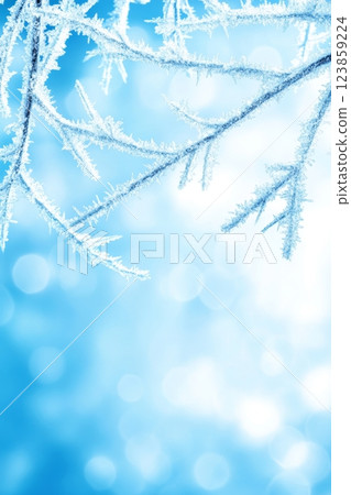 Winter Tree Branches in Hoarfrost 123859224