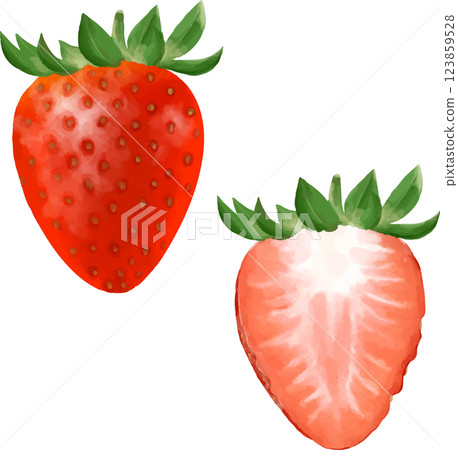 Hand drawn strawberry 123859528