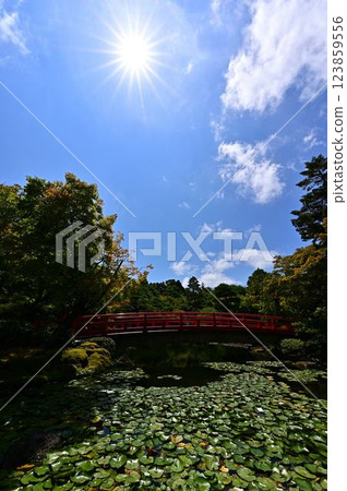 Japanese garden of Yushien Japanese garden of Yushien 123859556