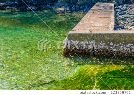 A small fishing port in Onagawa, Miyagi Prefecture A small fishing port in Onagawa, Miyagi Prefecture 123859761