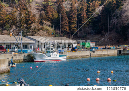 A small fishing port in Onagawa, Miyagi Prefecture 123859776