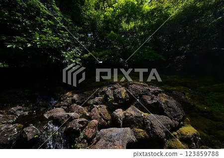 Japanese garden of Yushien 123859788