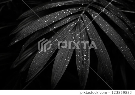 A leaf with dew drops 123859883