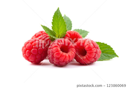 Ripe red raspberries with green leaves on white background healthy organic summer berries fresh fruit vibrant sweet delicious juicy natural vegetarian raw seasonal edible produce Ripe red raspberries with green leaves on white background healthy organic summer berries fresh fruit vibrant sweet delicious juicy natural vegetarian raw seasonal edible produce 123860069