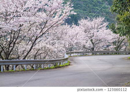 櫻花季閃耀的觀光景點:市房水壩、萃輝橋、阿瀨原濱水公園(熊本縣球磨郡水上村湯山) 櫻花季閃耀的觀光景點:市房水壩、萃輝橋、阿瀨原濱水公園(熊本縣球磨郡水上村湯山) 123860112