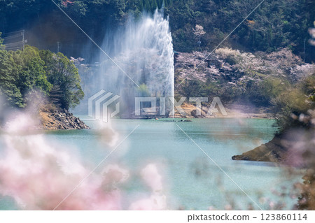 A tourist spot that shines during the cherry blossom season: Ichifusa Dam, Suiki Bridge, and Asenohara Waterfront Park (Yuyama, Minakami Village, Kuma District, Kumamoto Prefecture) 123860114