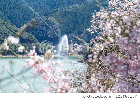 櫻花季閃耀的觀光景點：市房水壩、萃輝橋、阿瀨原濱水公園（熊本縣球磨郡水上村湯山） 123860117