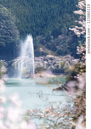A tourist spot that shines during the cherry blossom season: Ichifusa Dam, Suiki Bridge, and Asenohara Waterfront Park (Yuyama, Minakami Village, Kuma District, Kumamoto Prefecture) A tourist spot that shines during the cherry blossom season: Ichifusa Dam, Suiki Bridge, and Asenohara Waterfront Park (Yuyama, Minakami Village, Kuma District, Kumamoto Prefecture) 123860119