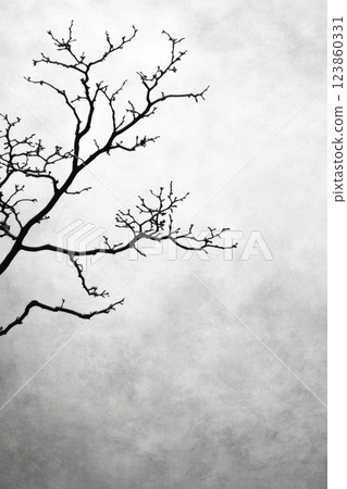Minimalist Tree Branches Monochrome Sky View 123860331
