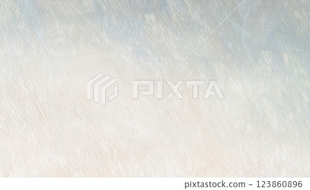 Pale patterned washi paper 04 Pale patterned washi paper 04 123860896