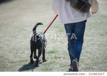一名男子在河岸邊的公園遛一隻大狗，背影不露面 123861027