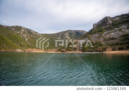 Trees and reeds on River Crnojevica, place near Lake Skadar in Montenegro surrounded by mountain peaks in winter time 123861168