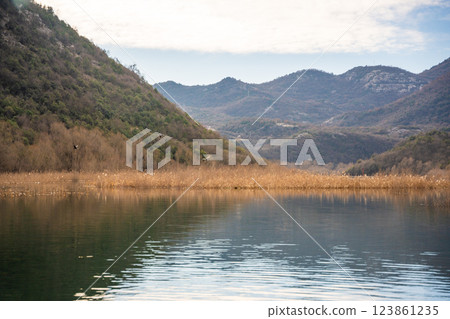 Trees and reeds on River Crnojevica, place near Lake Skadar in Montenegro surrounded by mountain peaks in winter time 123861235