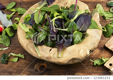Delicious green leaf salad. 123861252