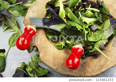 Vegan green salad, healthy freshness. 123861253