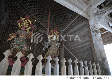 金剛國王的雕像 123861447