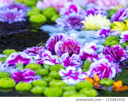 A beautiful flower water fountain decorated with January's seasonal flowers 123861450