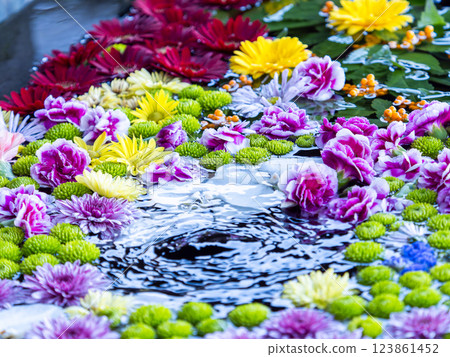 A beautiful flower water fountain decorated with January's seasonal flowers A beautiful flower water fountain decorated with January's seasonal flowers 123861452