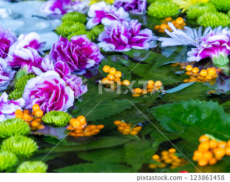 A beautiful flower water fountain decorated with January's seasonal flowers 123861458