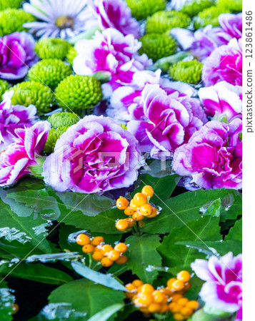 用一月份的當季鮮花裝飾的美麗花水噴泉 用一月份的當季鮮花裝飾的美麗花水噴泉 123861486