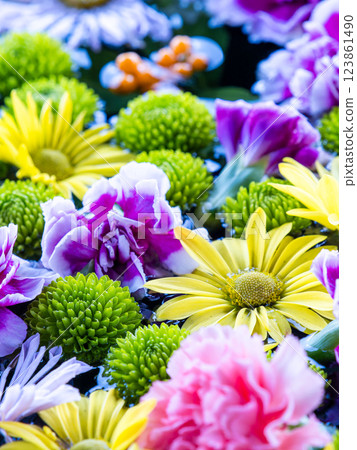 A beautiful flower water fountain decorated with January's seasonal flowers A beautiful flower water fountain decorated with January's seasonal flowers 123861490