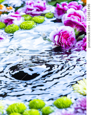 A beautiful flower water fountain decorated with January's seasonal flowers 123861496