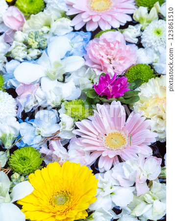 A beautiful flower water fountain decorated with January's seasonal flowers 123861510