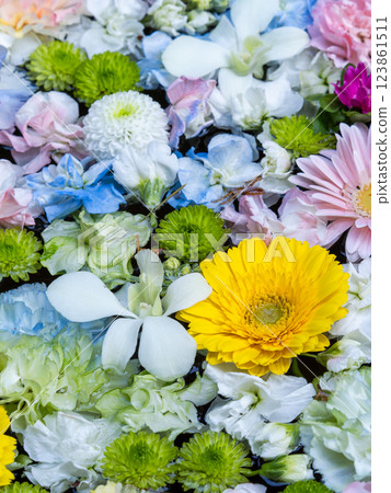A beautiful flower water fountain decorated with January's seasonal flowers 123861511