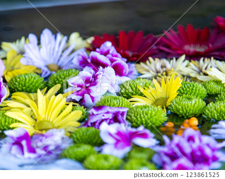A beautiful flower water fountain decorated with January's seasonal flowers 123861525