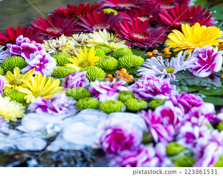 A beautiful flower water fountain decorated with January's seasonal flowers 123861531