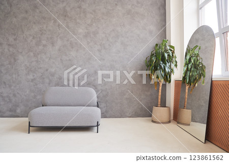 The modern interior design of the house is characterized by an elegant living room with a comfortable sofa, gray walls and indoor plants. Free space for your design. High quality photo 123861562