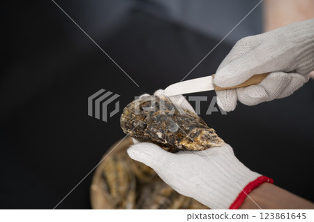 A woman with oysters in season in winter A woman with oysters in season in winter 123861645