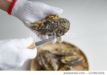 A woman with oysters in season in winter 123861648