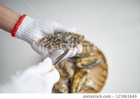 A woman with oysters in season in winter 123861649