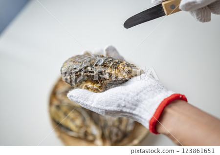 A woman with oysters in season in winter 123861651