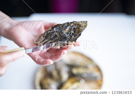 A woman with oysters in season in winter 123861653