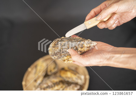 A woman with oysters in season in winter A woman with oysters in season in winter 123861657