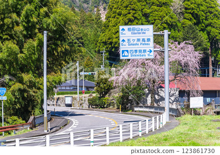 龍泉寺週邊的垂枝櫻花沐浴在春光中,與國道325號線一帶的風景相映成趣(宮崎縣西臼杵郡高千穗町上野) 龍泉寺週邊的垂枝櫻花沐浴在春光中,與國道325號線一帶的風景相映成趣(宮崎縣西臼杵郡高千穗町上野) 123861730