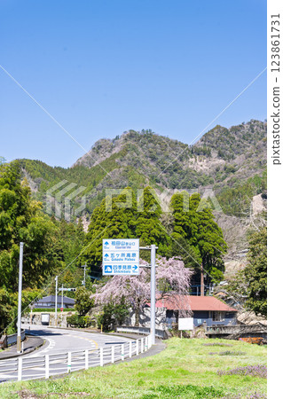 龍泉寺週邊的垂枝櫻花沐浴在春光中，與國道325號線一帶的風景相映成趣（宮崎縣西臼杵郡高千穗町上野） 123861731