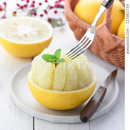 Tosa Buntan (cut image) 123861739