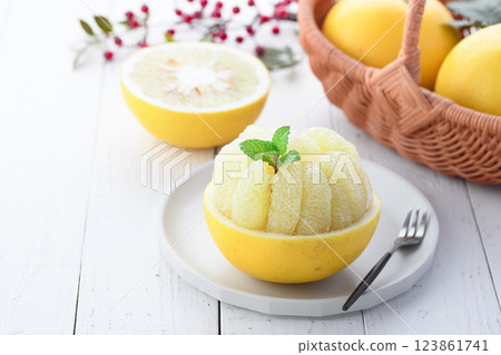 Tosa Buntan (cut image) Tosa Buntan (cut image) 123861741