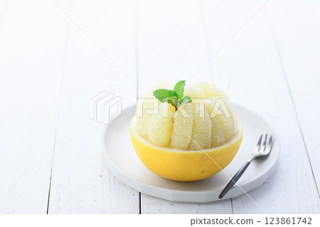 Tosa Buntan (cut image) 123861742