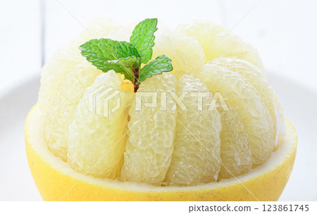 Tosa Buntan (cut image) Tosa Buntan (cut image) 123861745