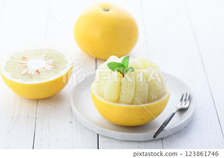 Tosa Buntan (cut image) 123861746