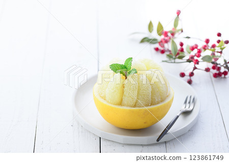 Tosa Buntan (cut image) Tosa Buntan (cut image) 123861749
