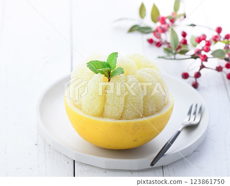 Tosa Buntan (cut image) 123861750