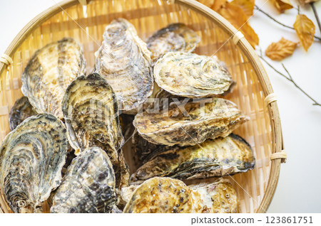 冬天是生蠔的季節 123861751